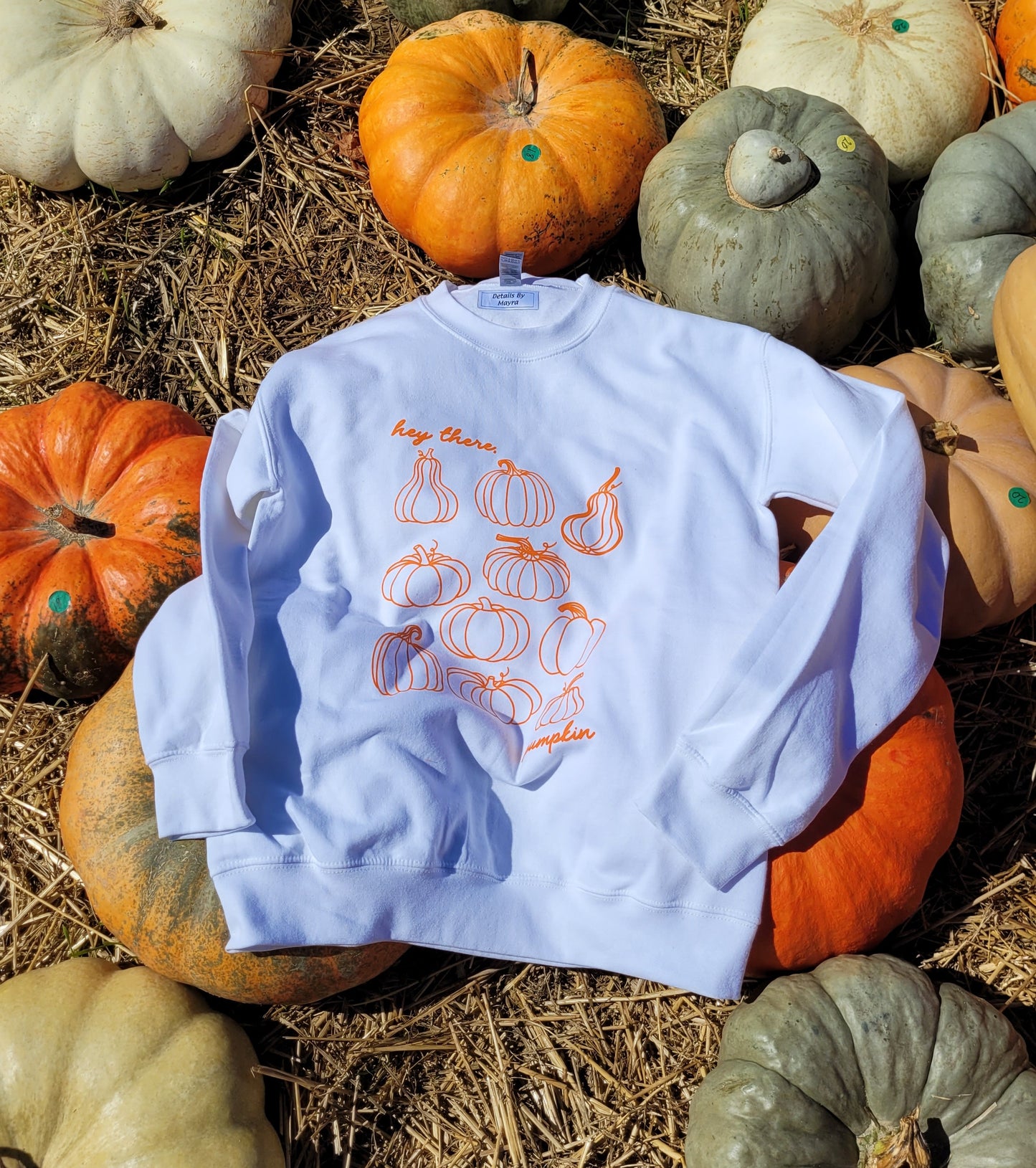 Hey There Pumpkin Sweatshirt